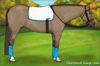 Horse Color:Liver Red Dun Roan 