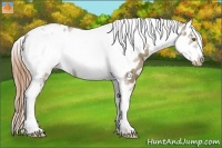 Horse Color:Classic Cream Champagne Tobiano Frame Near Leopard Rabicano