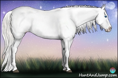 Horse Color:Silver Black Splash Varnish