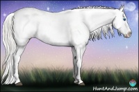 Horse Color:Silver Black Splash Varnish