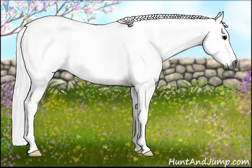 Horse Color:Gray Black 