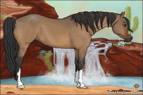 Horse Color:Bay Dun