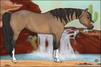 Horse Color:Bay Dun