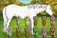 Horse Color:Gray Cremello Dun Sabino 