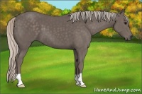Horse Color:Silver Black 