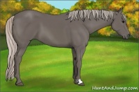 Horse Color:Silver Black 