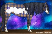 Horse Color:Plaid Bay Frame