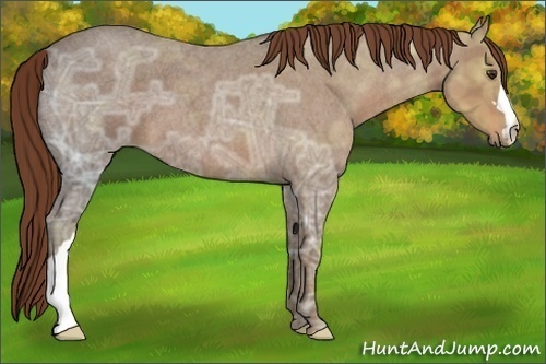 Horse Color:Red Ice Roan