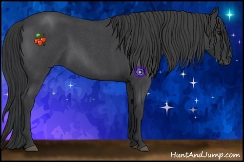 Horse Color:Blue Roan