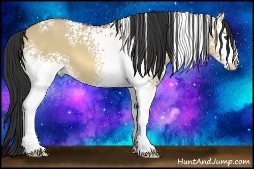 Horse Color:White Spotted Buckskin Dun 