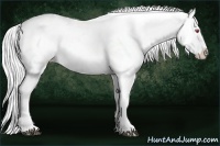 Horse Color:Silver Black Chinchilla Splash Tobiano Blanket Brindle