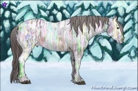 Horse Color:Brown Ice Splash Tobiano Appaloosa Brindle