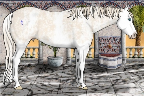 Horse Color:White Spotted Perlino Splash 