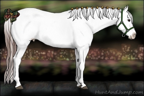 Horse Color:Bay Splash Snowflake Varnish Brindle