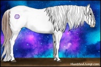 Horse Color:Bay Splash Tobiano Appaloosa Brindle
