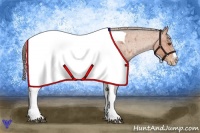 Horse Color:Bay Roan Splash Tobiano Appaloosa Brindle