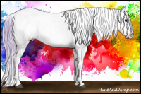 Horse Color:Watercolor Buckskin Appaloosa 
