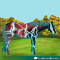 Horse Color:ERROR: UNKNOWN ANOMALY