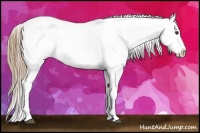 Horse Color:Chestnut Splash Tobiano Snowflake Varnish Brindle