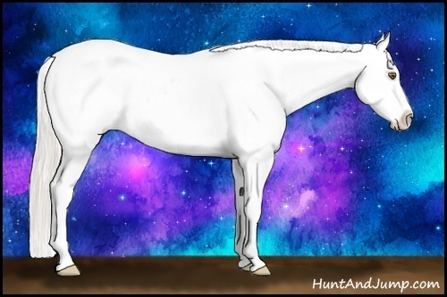 Horse Color:Silver Black Pearl Sabino Varnish