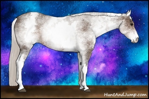 Horse Color:White Spotted Silver Black Sabino 