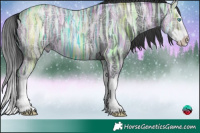 Horse Color:Black Ice Splash 