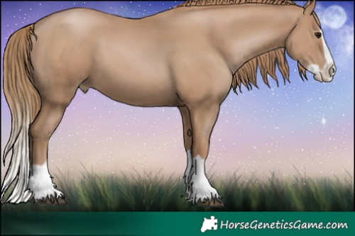 Horse Color:Black Pearl Splash 