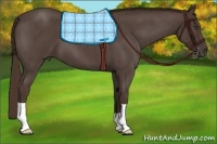 Horse Color:Liver Red Roan 