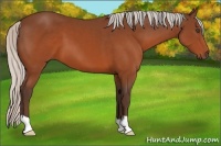 Horse Color:Silver Brown 