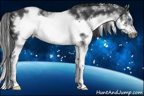 Horse Color:White Spotted Smoky Black Splash Frame 