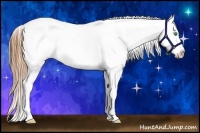 Horse Color:Amber Cream Champagne Tobiano Leopard 
