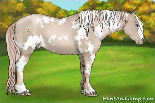 Horse Color:White Spotted Chocolate Palomino Pearl