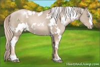 Horse Color:White Spotted Chocolate Palomino Pearl 