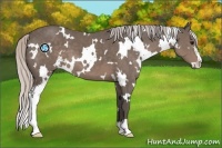 Horse Color:White Spotted Silver Black Sabino