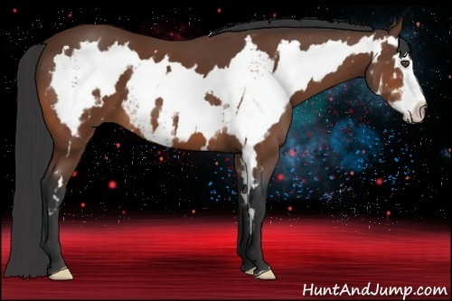 Horse Color:White Spotted Bay Splash Frame 