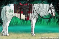 Horse Color:Watercolor Buckskin Sabino Splash Appaloosa 