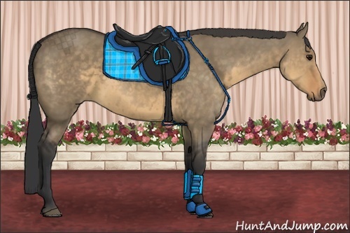 Horse Color:Buckskin Dun