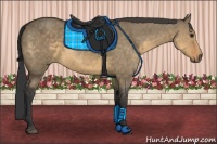 Horse Color:Buckskin Dun 