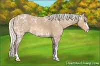 Horse Color:Silver Buckskin Ice Roan Sabino 