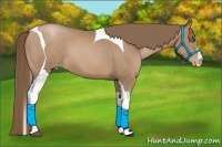 Horse Color:Black Pearl Splash Tobiano 