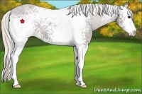 Horse Color:White Spotted Silver Black Sabino Varnish 
