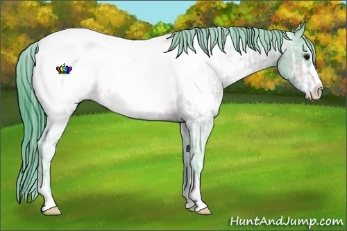 Horse Color:Watercolor Bay Ice Sabino Near Fewspot Rabicano