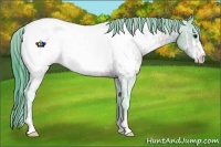 Horse Color:Watercolor Bay Ice Sabino Appaloosa Rabicano