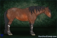 Horse Color:Bay  Brindle
