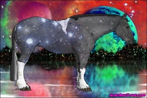 Horse Color:Black Tobiano 