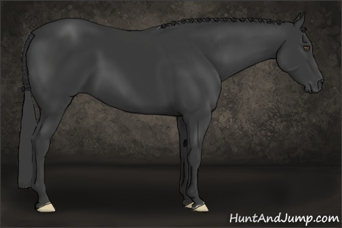 Horse Color:Black Frame
