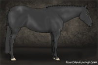 Horse Color:Black Frame
