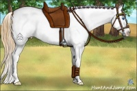 Horse Color:Buckskin Splash Varnish