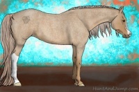 Horse Color:Palomino Roan 
