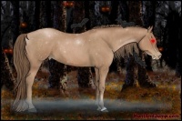 Horse Color:Black Pearl  Brindle